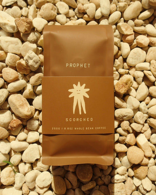 Prophet Coffee in North Charleston, SC (6)