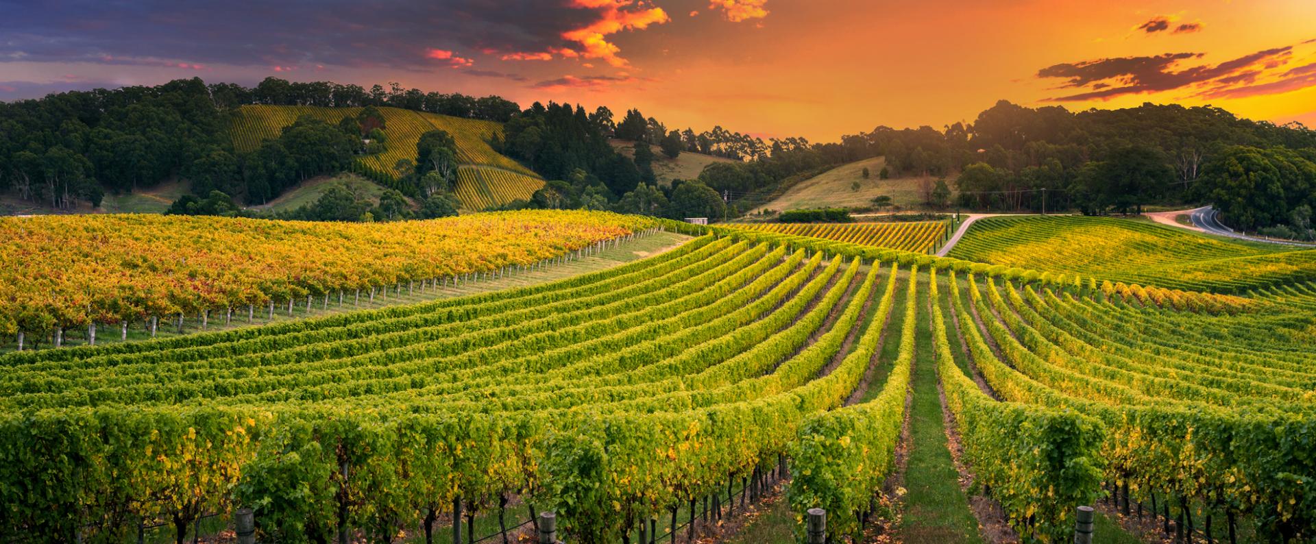 Summers Real Estate, Inc. in Atascadero, CA