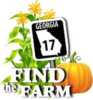 Ottawa Farms in Bloomingdale, GA (6)