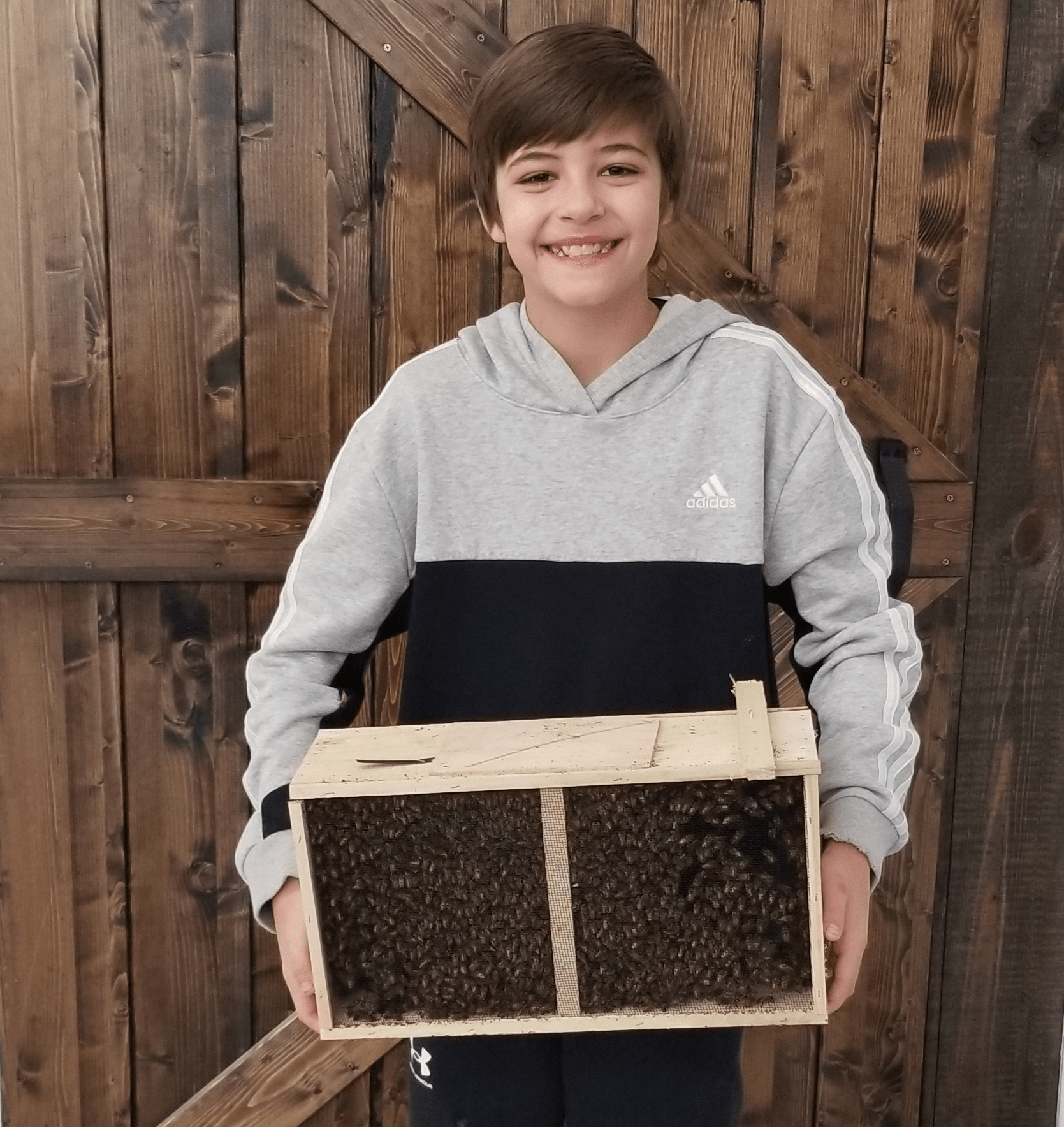 BarnYard Bees Inc in Chatsworth, GA (4)