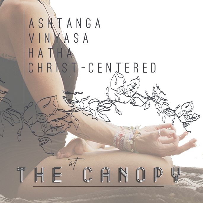 Canopy + the Roots Coffee in Dahlonega, GA (2)