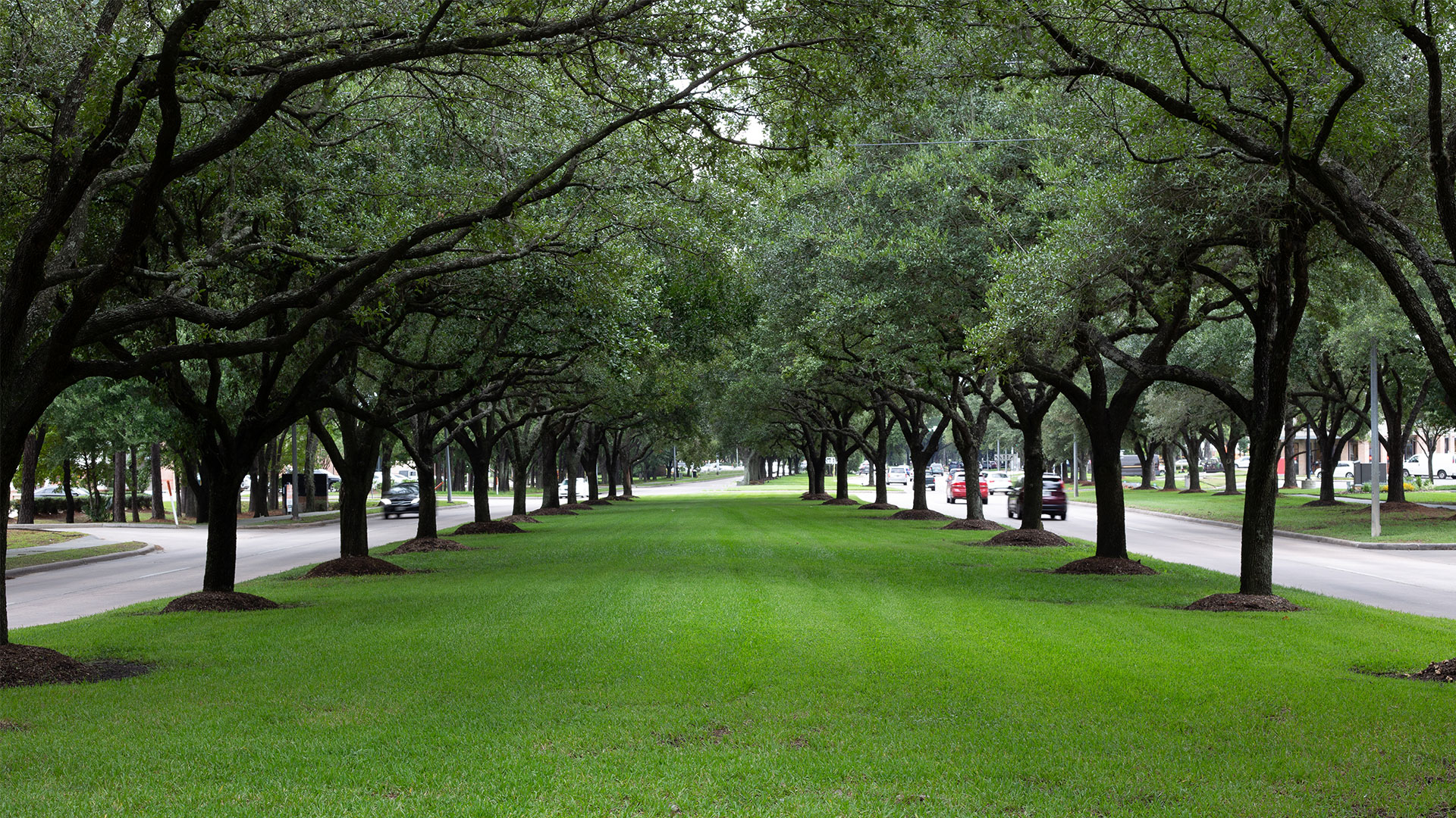 DeBenonBroussard LP in Kingwood, TX