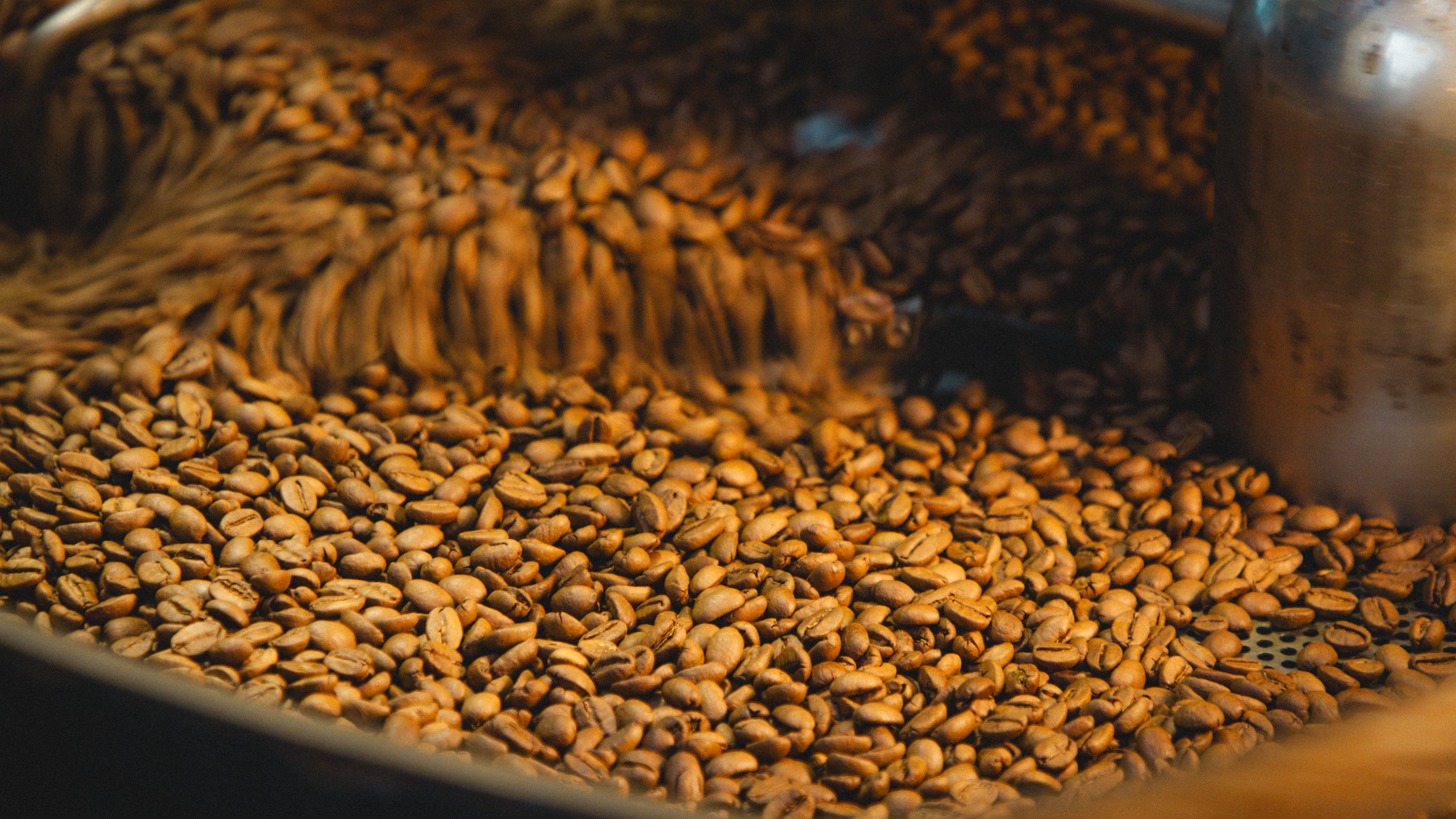 Chromatic Coffee Co. in San Jose, CA (5)