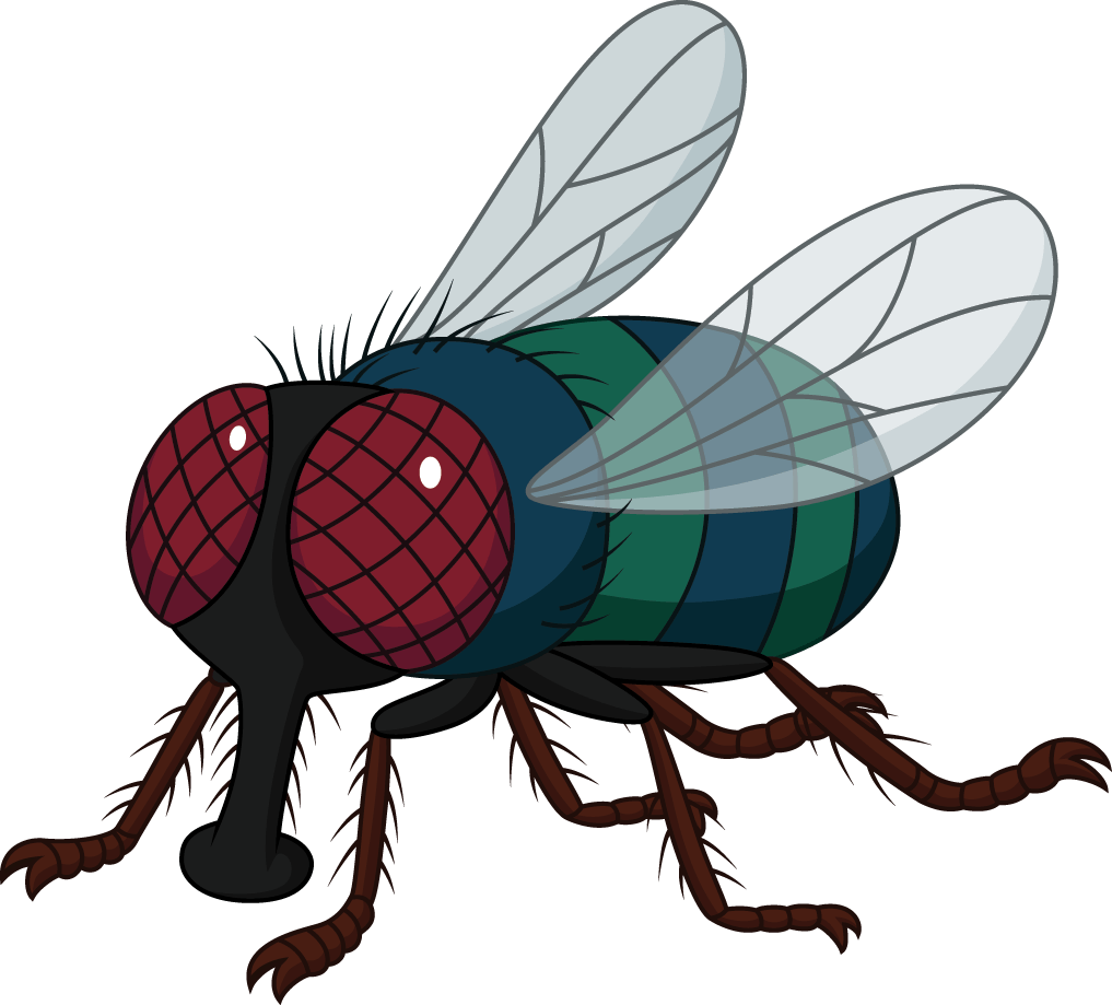 Black Knight Pest Services in Martinsburg, WV (2)