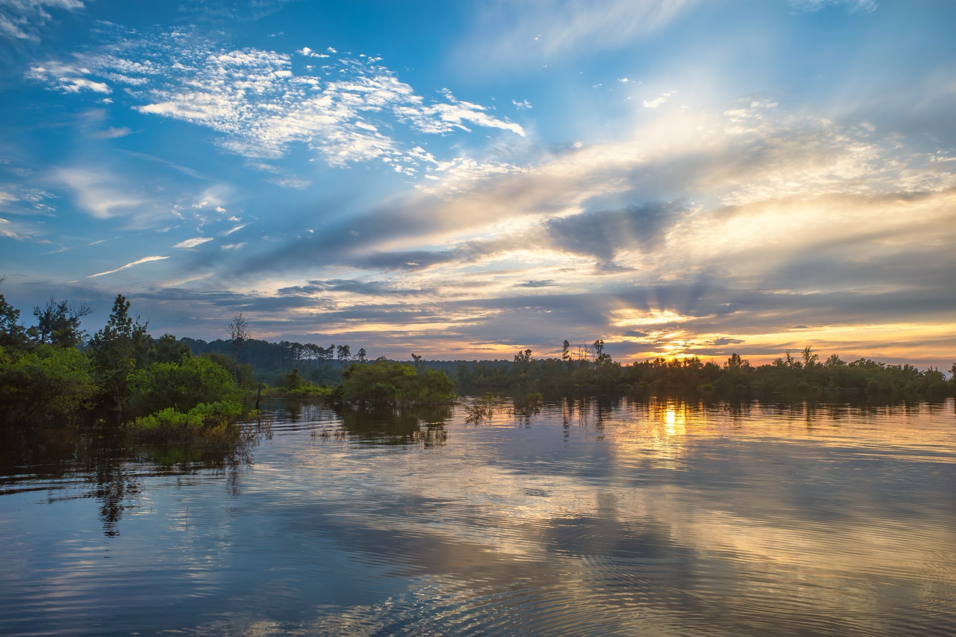 Sacred Roots Real Estate LLC in Lufkin, TX (3)