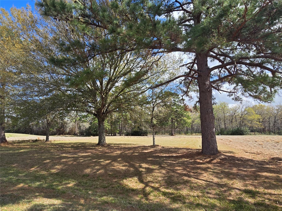 Sacred Roots Real Estate LLC in Lufkin, TX (4)