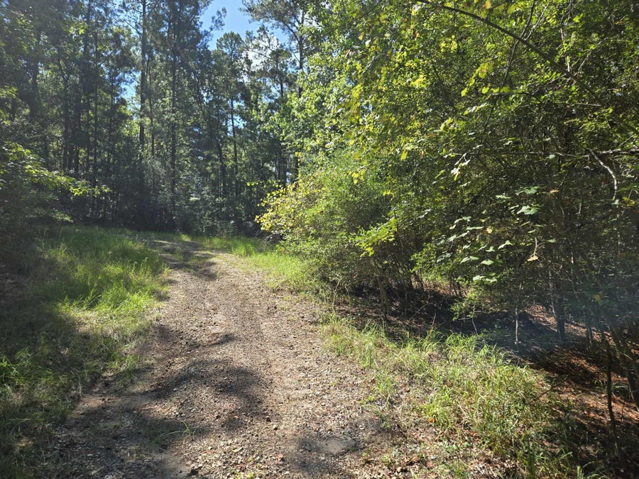 Sacred Roots Real Estate LLC in Lufkin, TX (5)