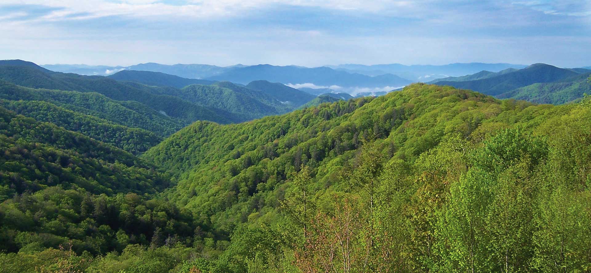 Smith & Morgan Law, P.A. in Sylva, NC (3)