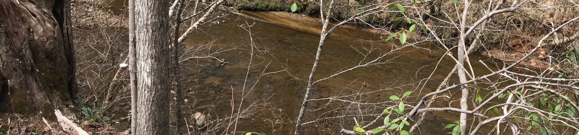 Double A Auction and Realty in Kenbridge, VA (2)