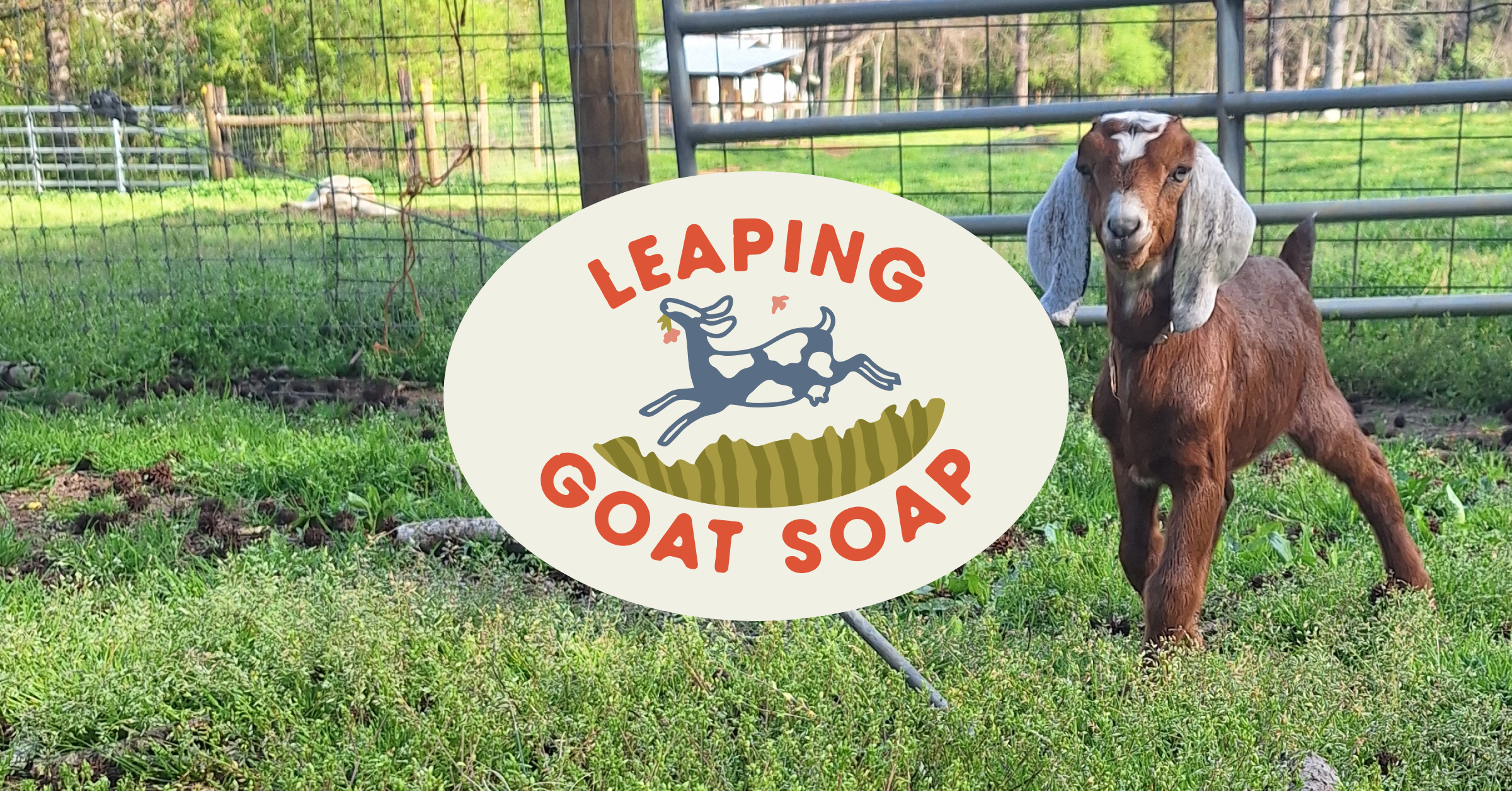Leaping Goat Soap in Watkinsville, GA