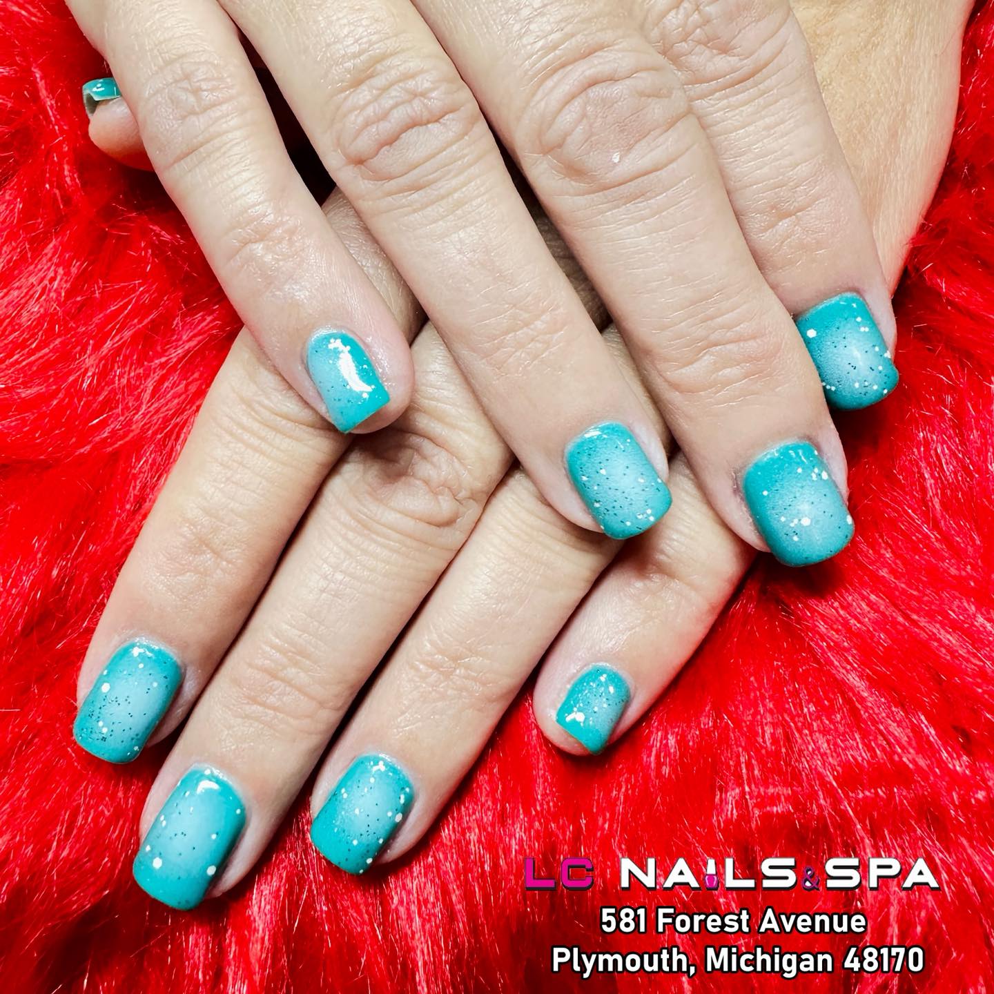LC NAILS & SPA PLYMOUTH, MICHIGAN in Plymouth, MI (5)