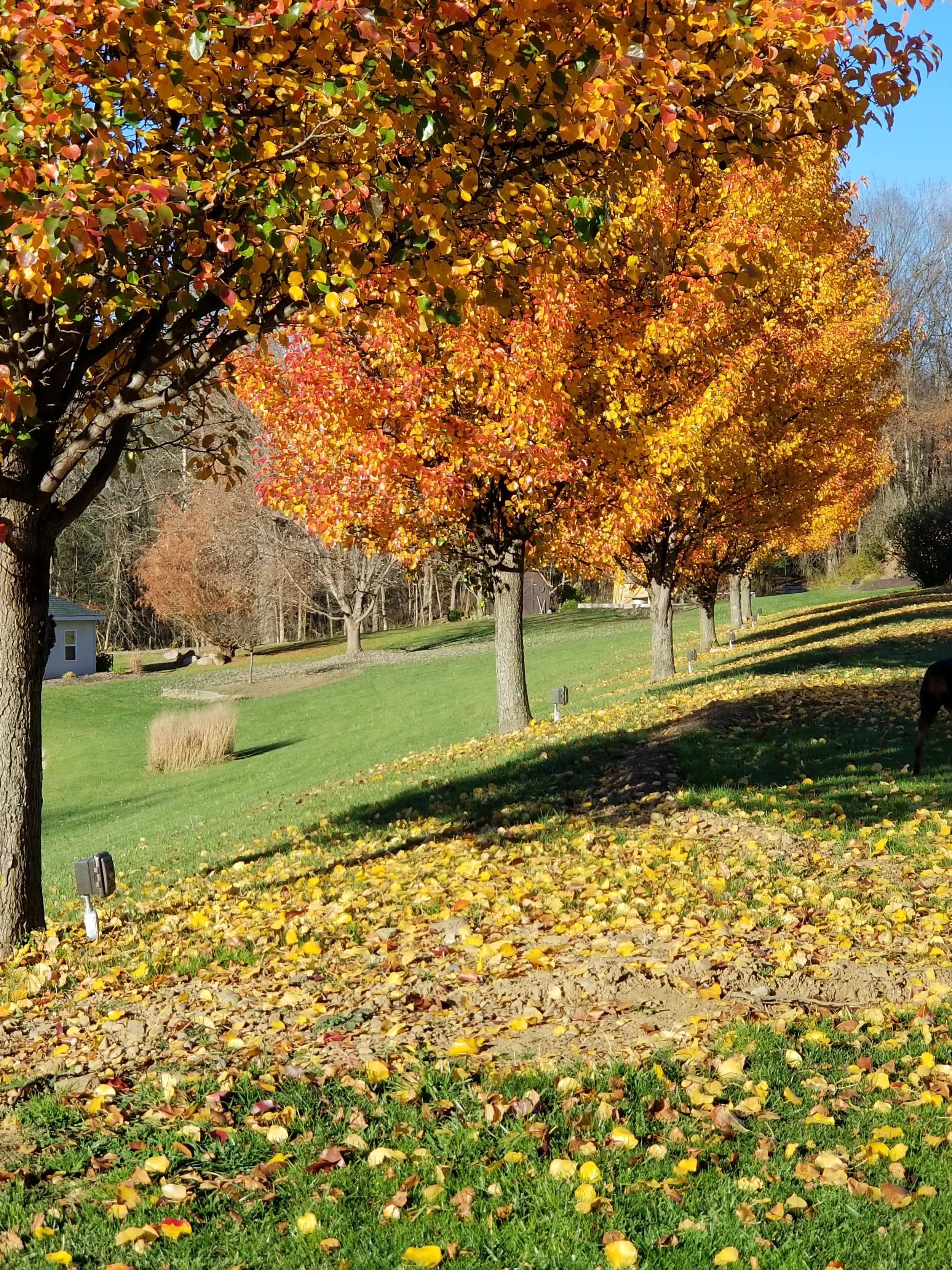 Cabin Catering & Events in Ashland, OH