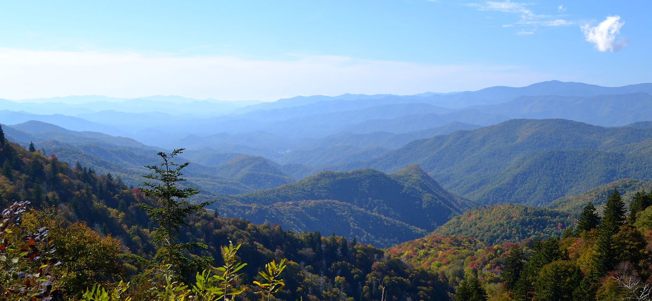 Sonja Silvers Realty Group in Hayesville, NC (3)