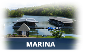 Boundary Waters Resort & Marina in Hiawassee, GA (3)