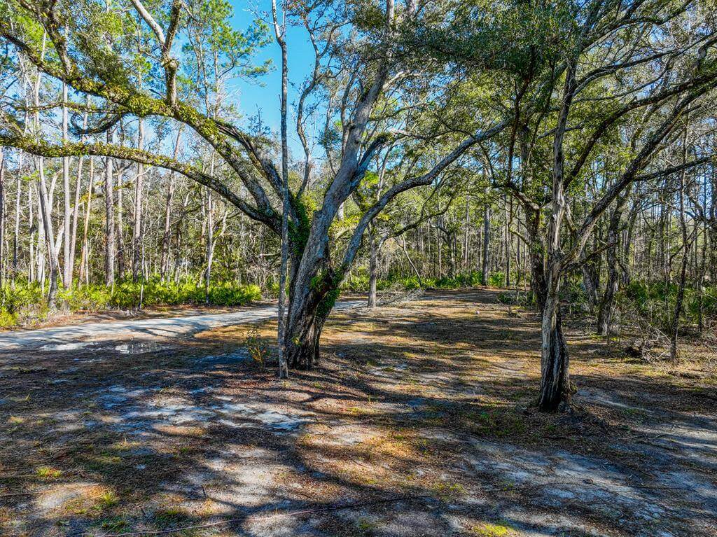 Steph Sells the South, Bell Fl & Trenton Fl Real Estate in Bell, FL (3)