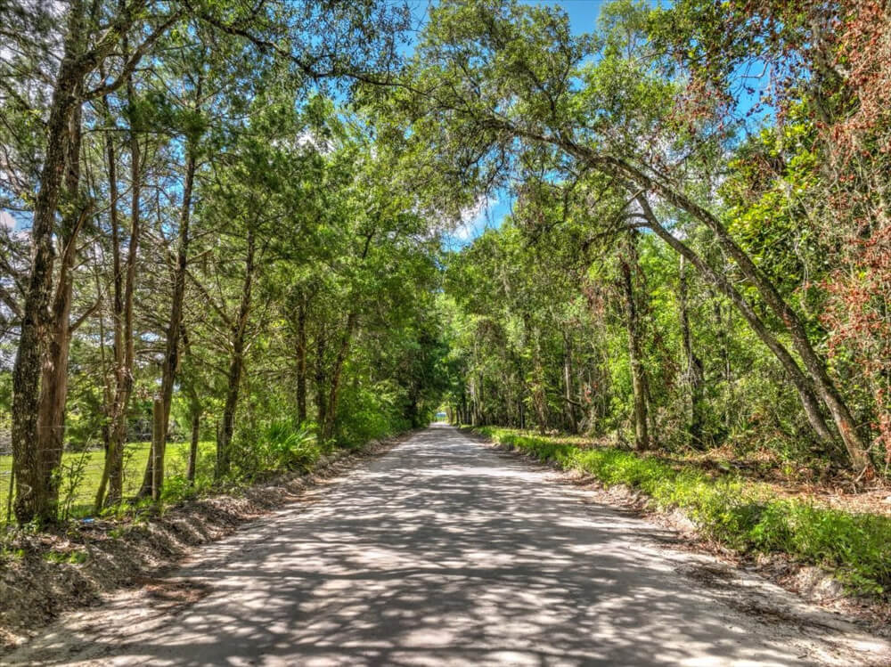 Steph Sells the South, Bell Fl & Trenton Fl Real Estate in Bell, FL (5)