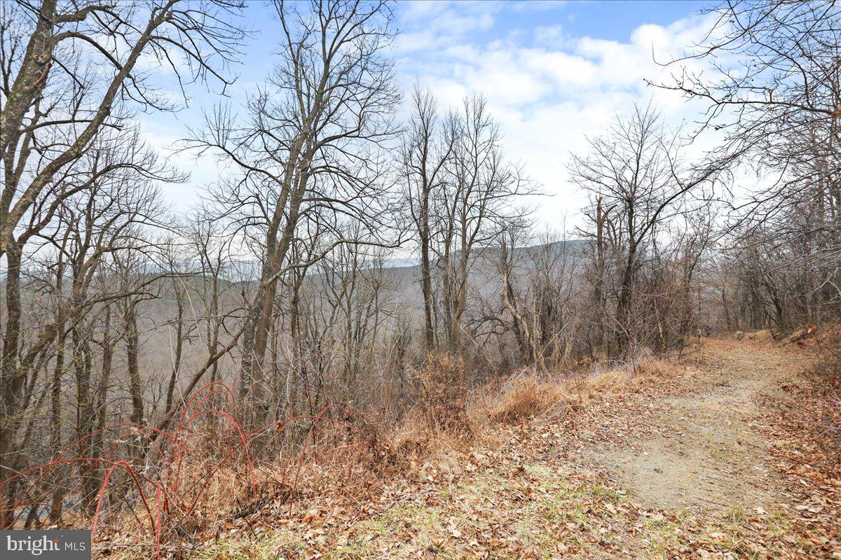 Allie F Coffey, Realtor in Woodstock, VA (3)