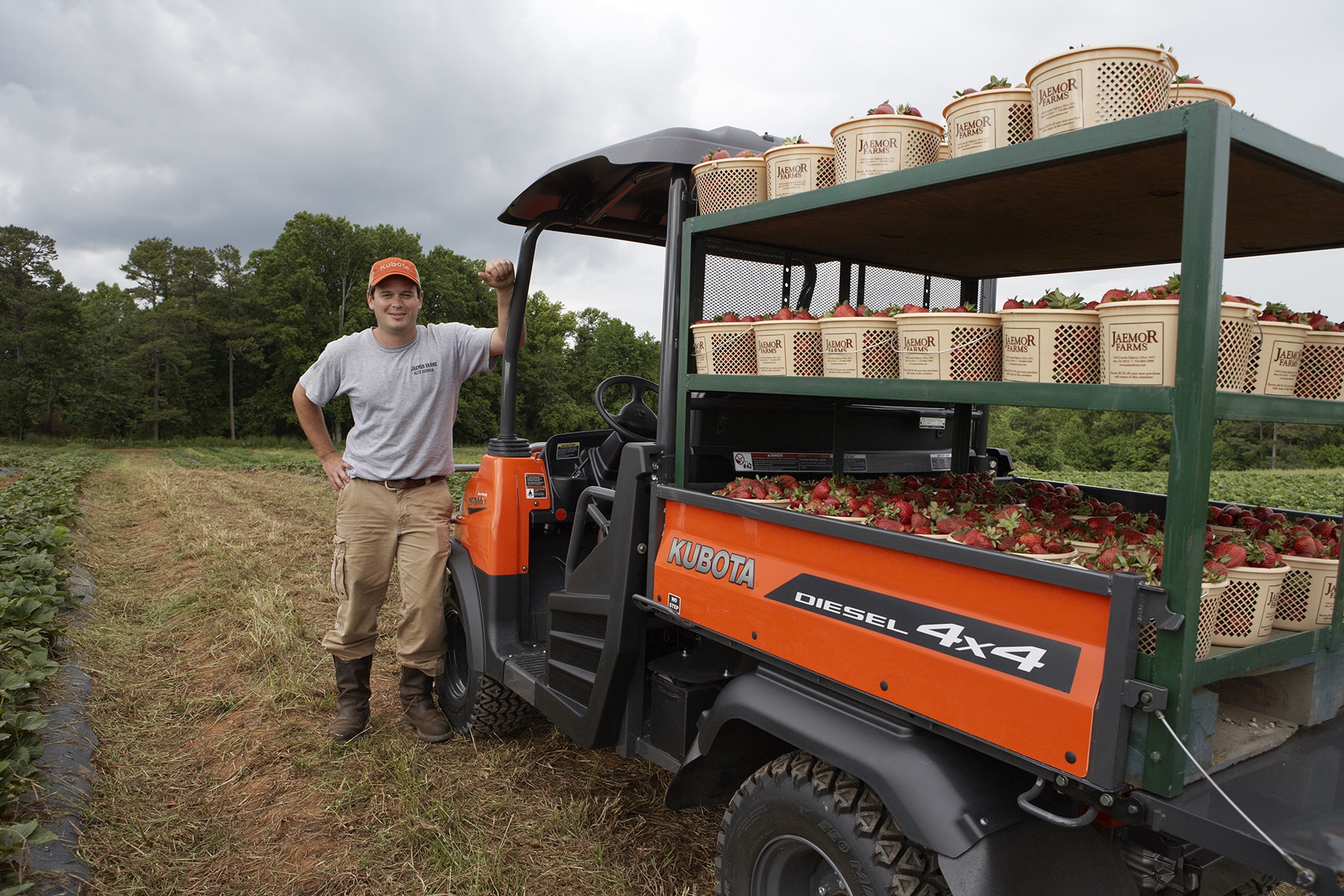 Jaemor Farms in Alto, GA (2)