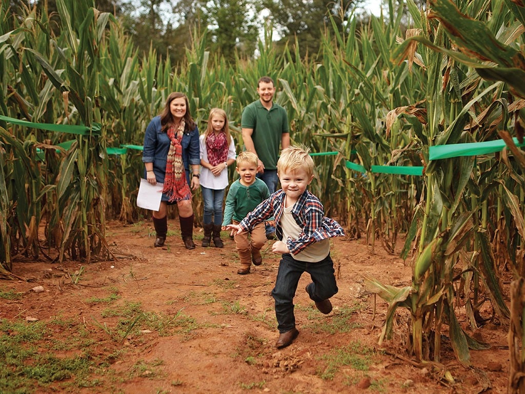 Jaemor Farms in Alto, GA (4)