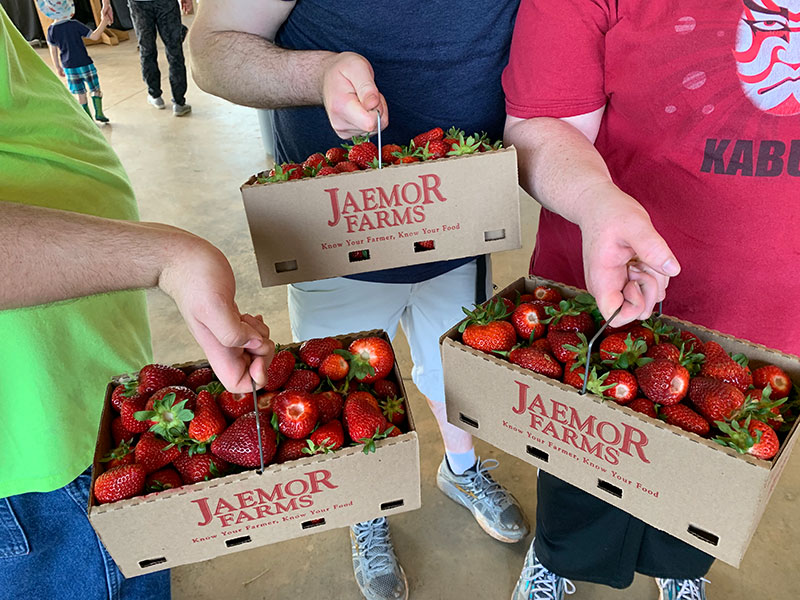 Jaemor Farms in Alto, GA (6)