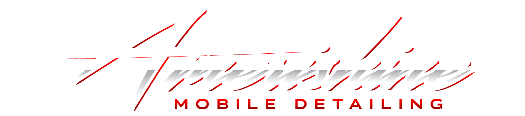 Amerishine Mobile Detailing in Duncanville, TX (4)