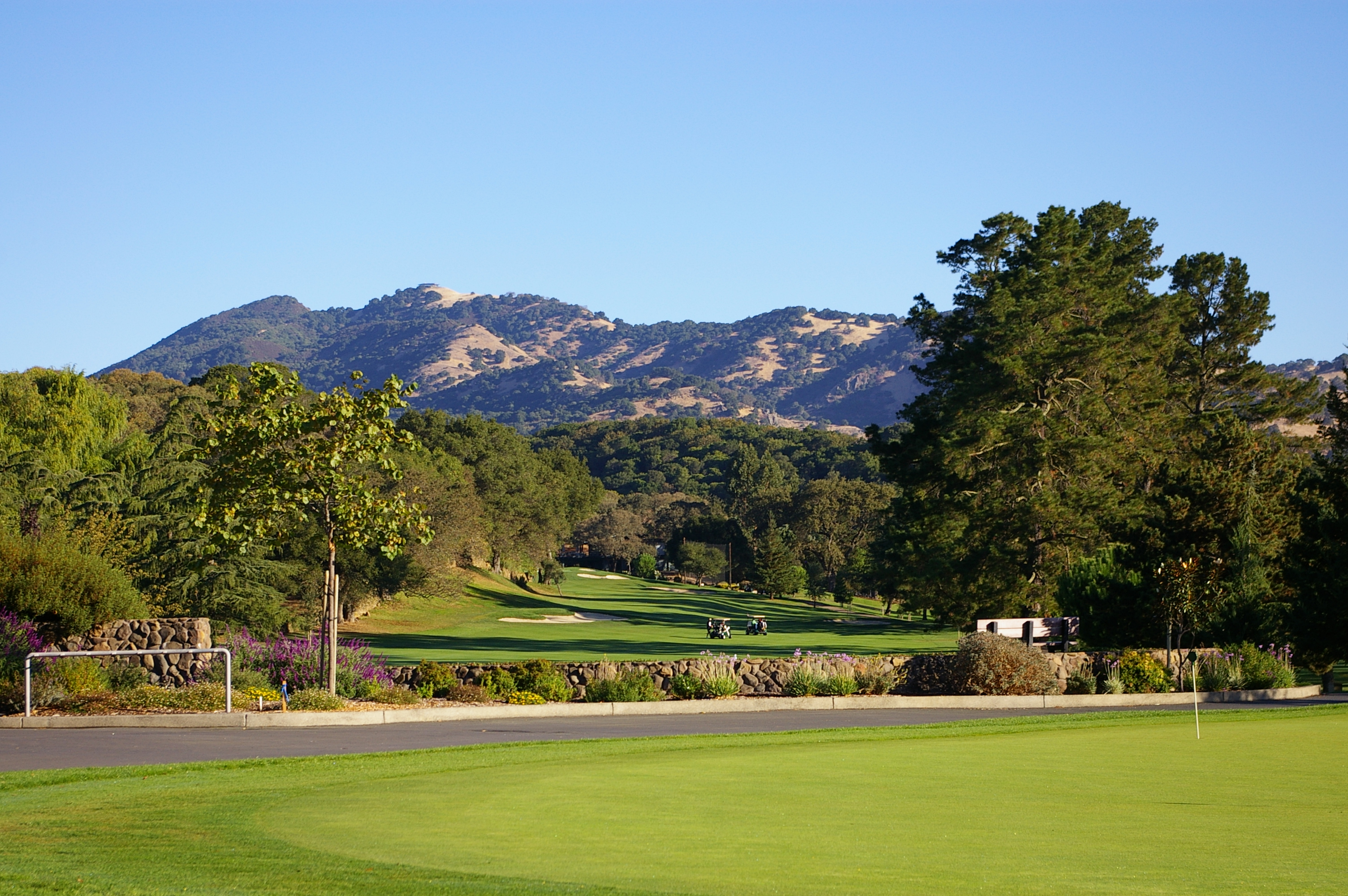 Bob & Rosemarie Ogan REALTOR®/Broker Associate/Country Estates, Inc. in Fairfield, CA (2)