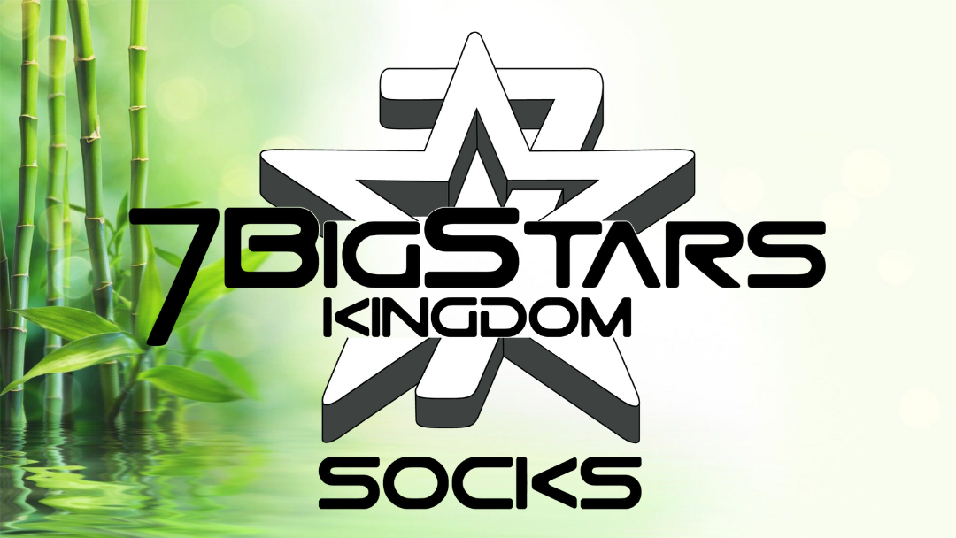 7BIGSTARS LLC in Monroe, NC (3)