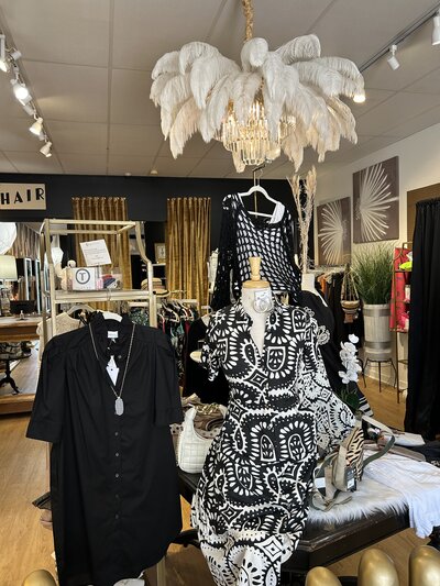 the Mod shop in Southern Pines, NC (6)