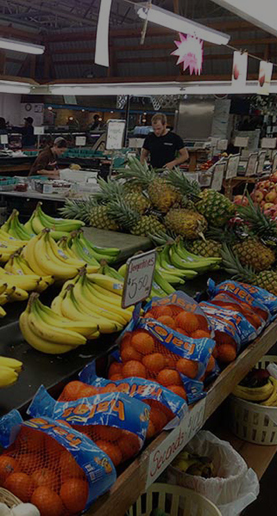 Fairgrounds Farmer's Market in Reading, PA (2)