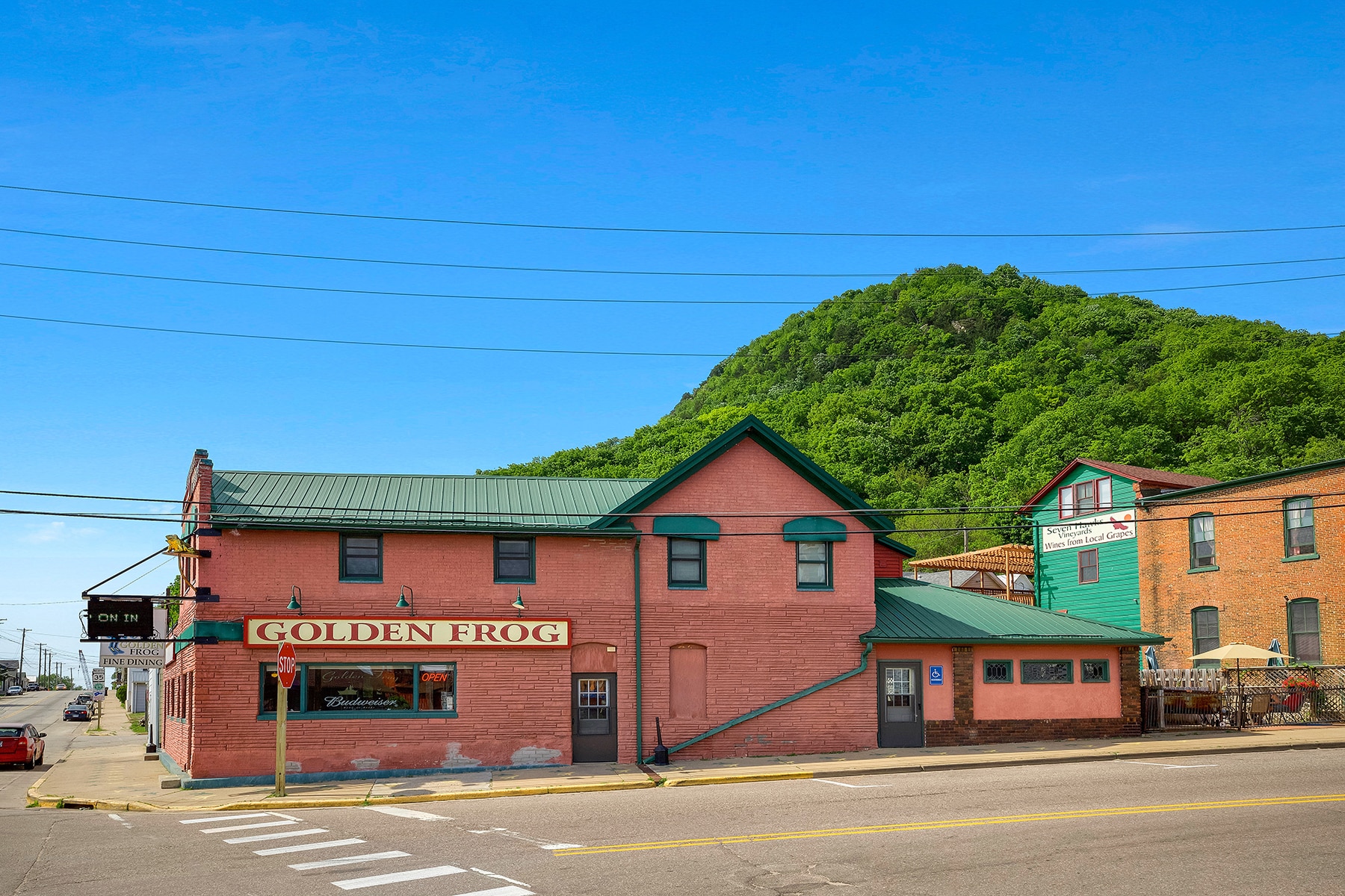 The Golden Frog in Fountain City, WI (2)