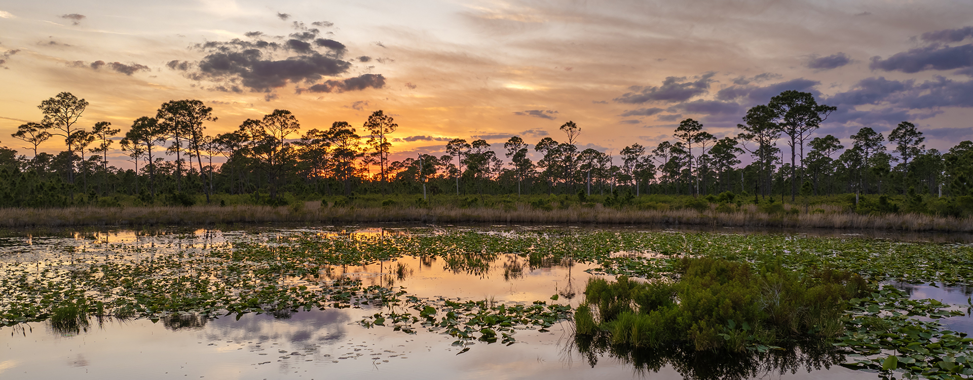 FarrLaw in Punta Gorda, FL (2)