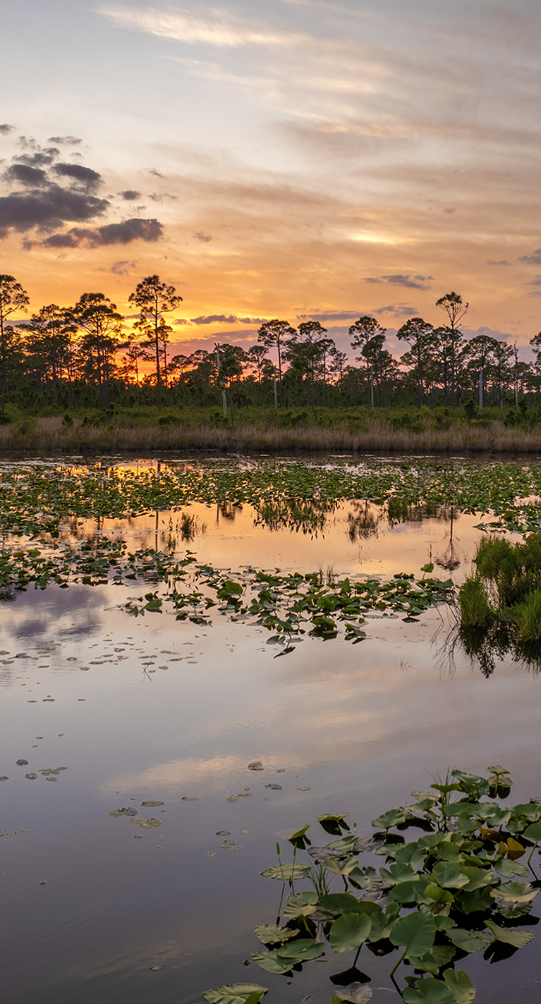 FarrLaw in Punta Gorda, FL (5)