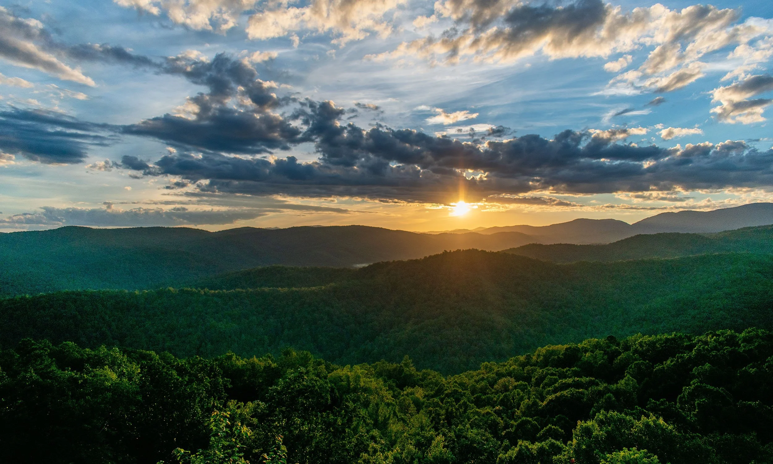 Matt Davis - NC Realtor (Realty One Group results) in Wilkesboro, NC (2)
