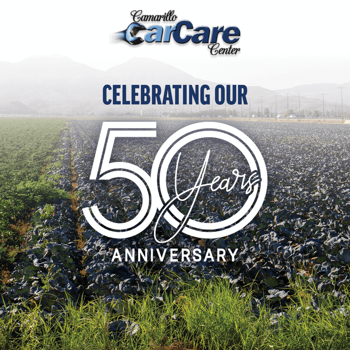 Camarillo Car Care Center Inc in Camarillo, CA