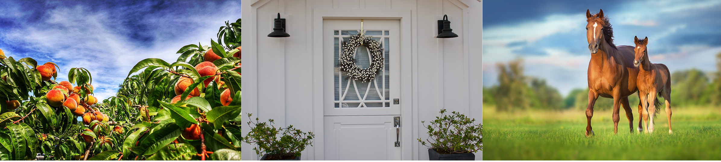 Collins Real Estate in Byron, GA