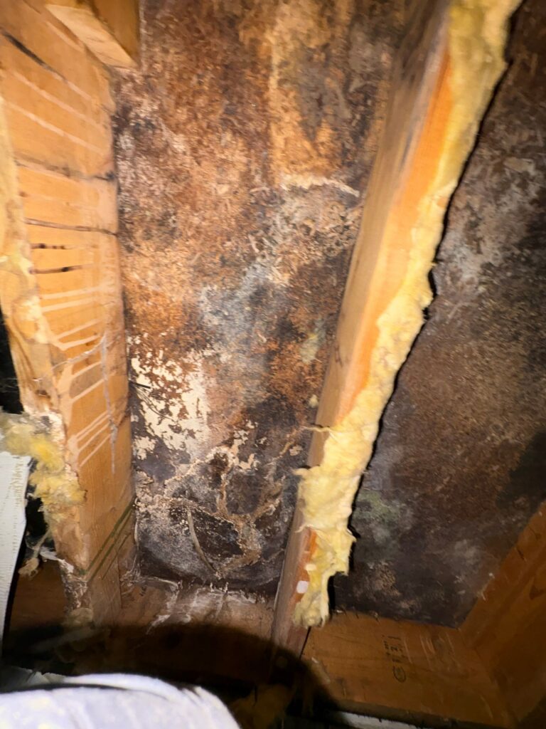 PuroClean Home Savers in Hilliard, OH (2)