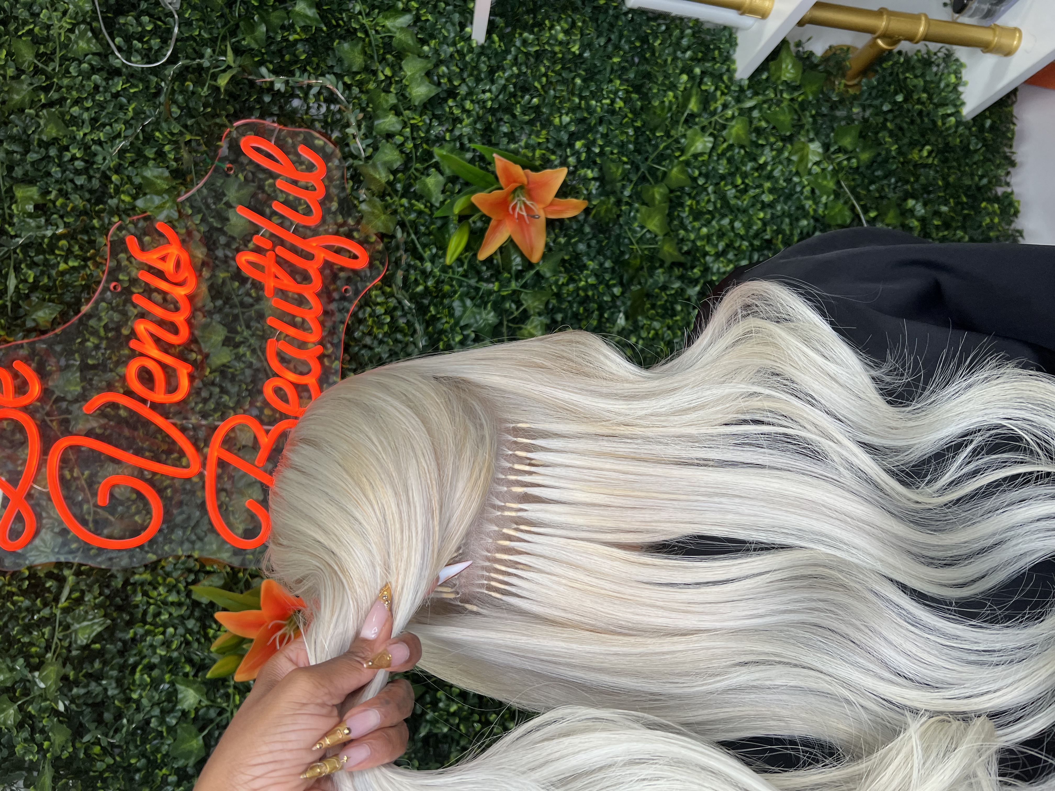 Venus Beautiful Hair Salon in North Miami, FL