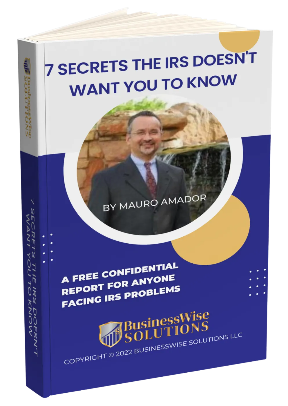 BusinessWise Solutions, LLC in Georgetown, TX (2)