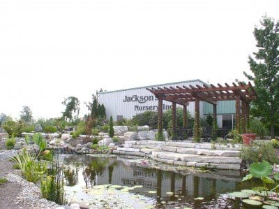 Jackson's Nursery, Inc. in Greensburg, IN (5)