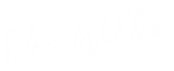 One Willow Seafood & Raw Bar Restaurant in Highlands, NJ (3)