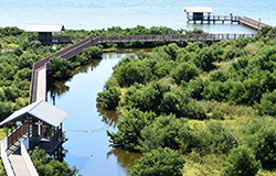 South Padre Island Chamber of Commerce in South Padre Island, TX (4)