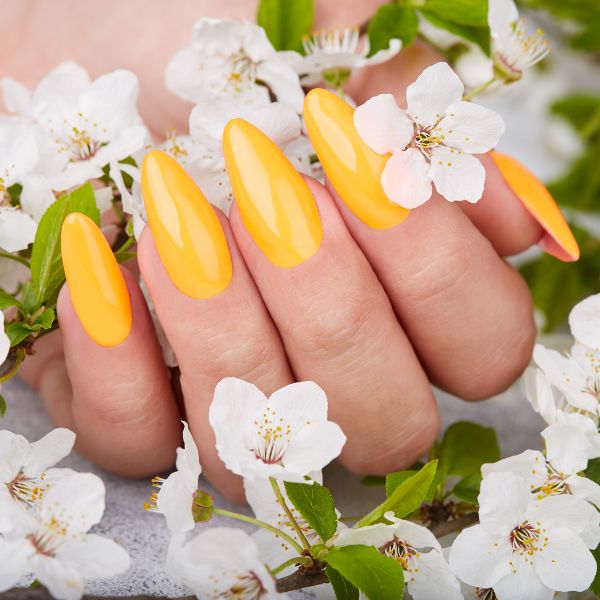 Artisan Nail & Spa in Macon, GA (4)