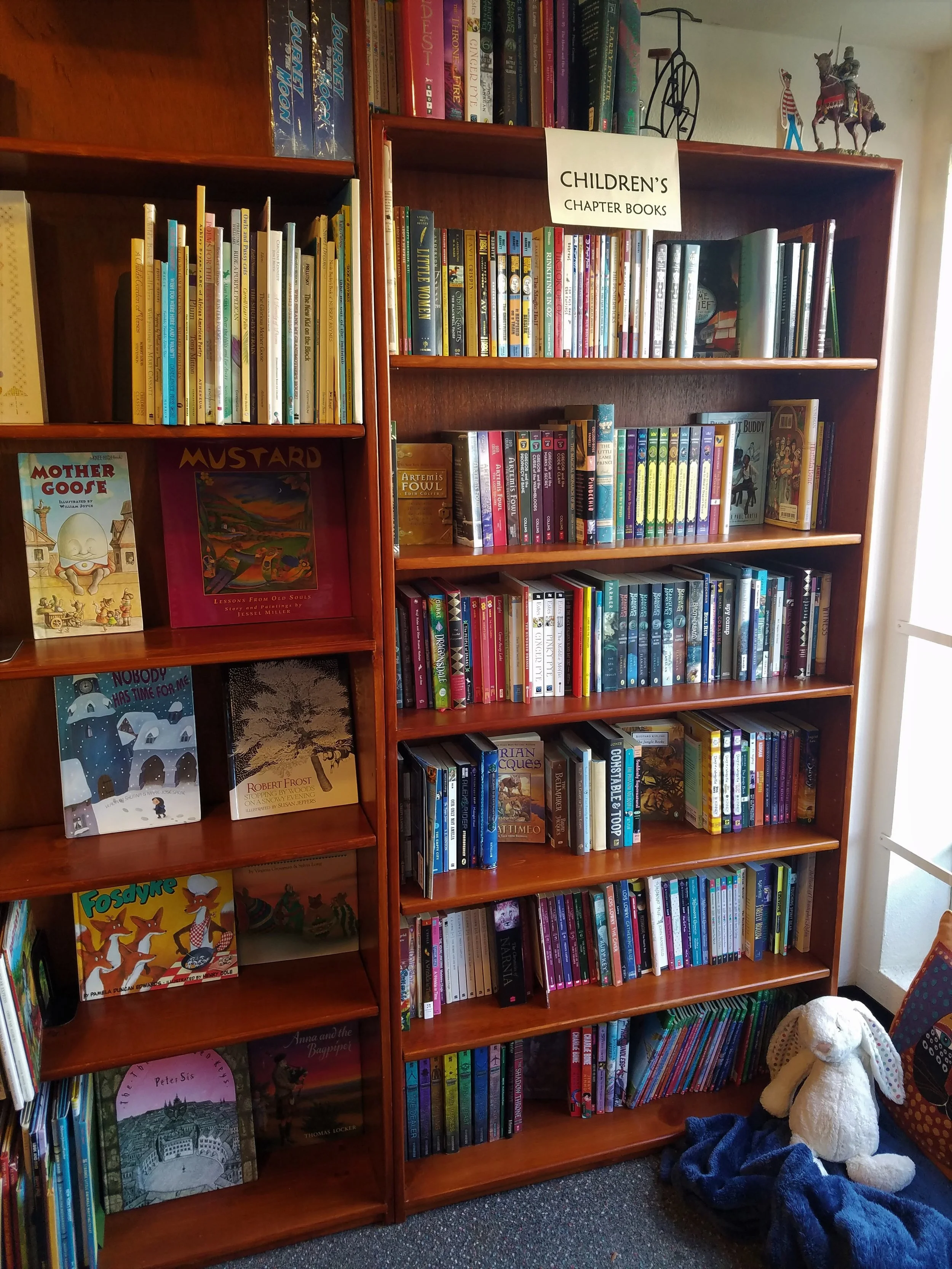 Second Chances Used Books in Sebastopol, CA