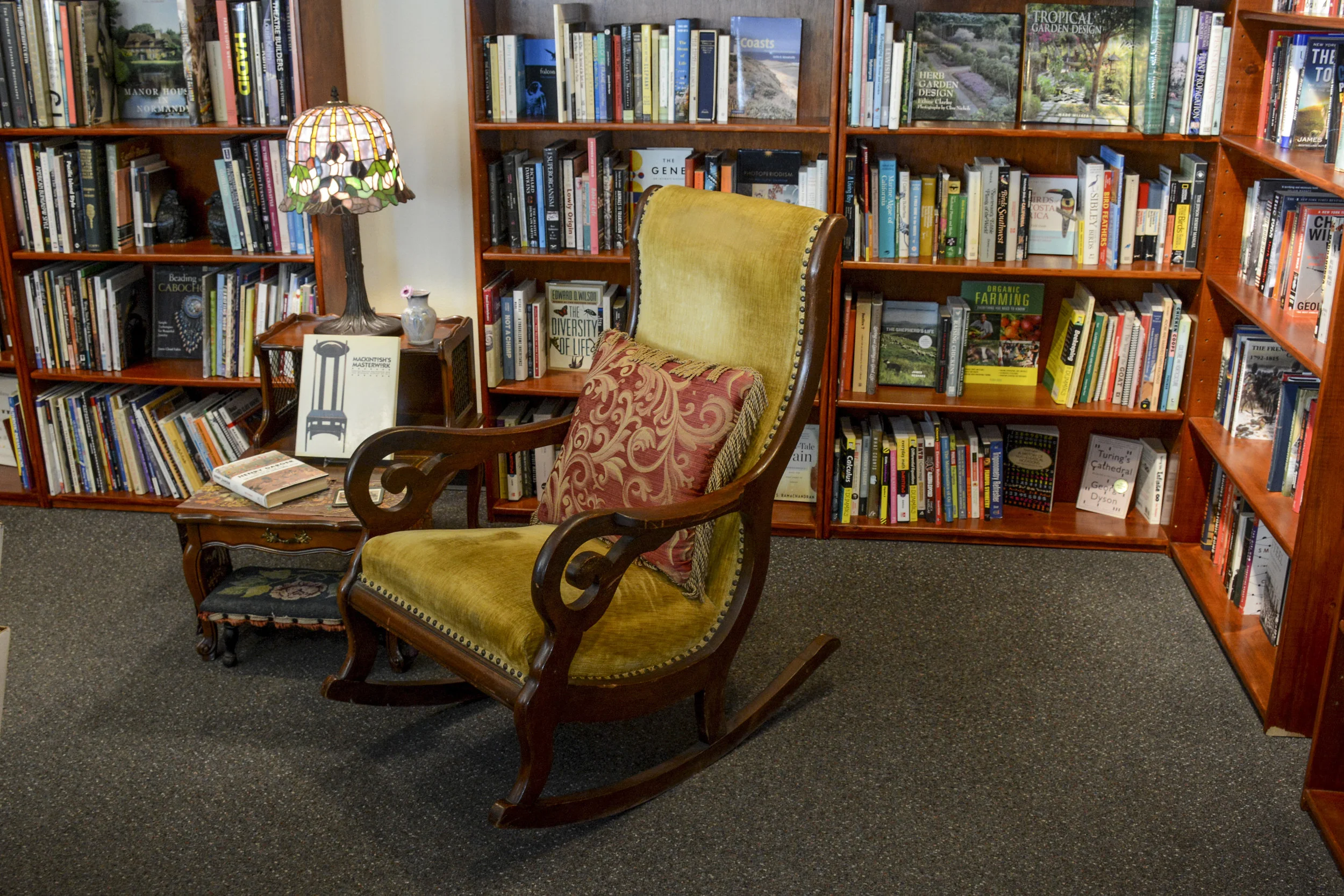 Second Chances Used Books in Sebastopol, CA (3)