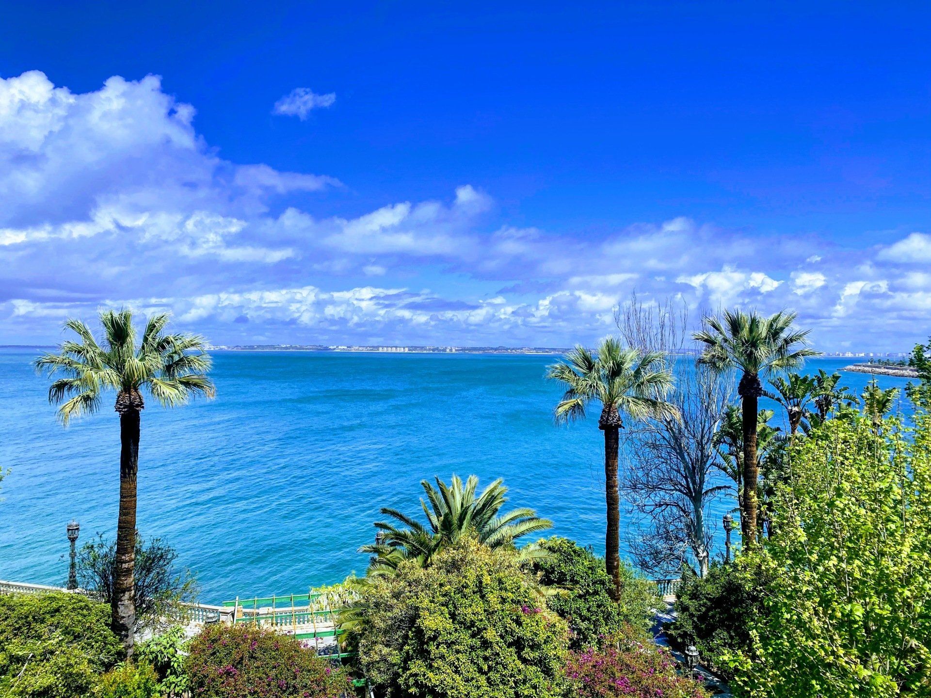Olga Tey Agencia Inmobiliaria in Spain, IN (5)