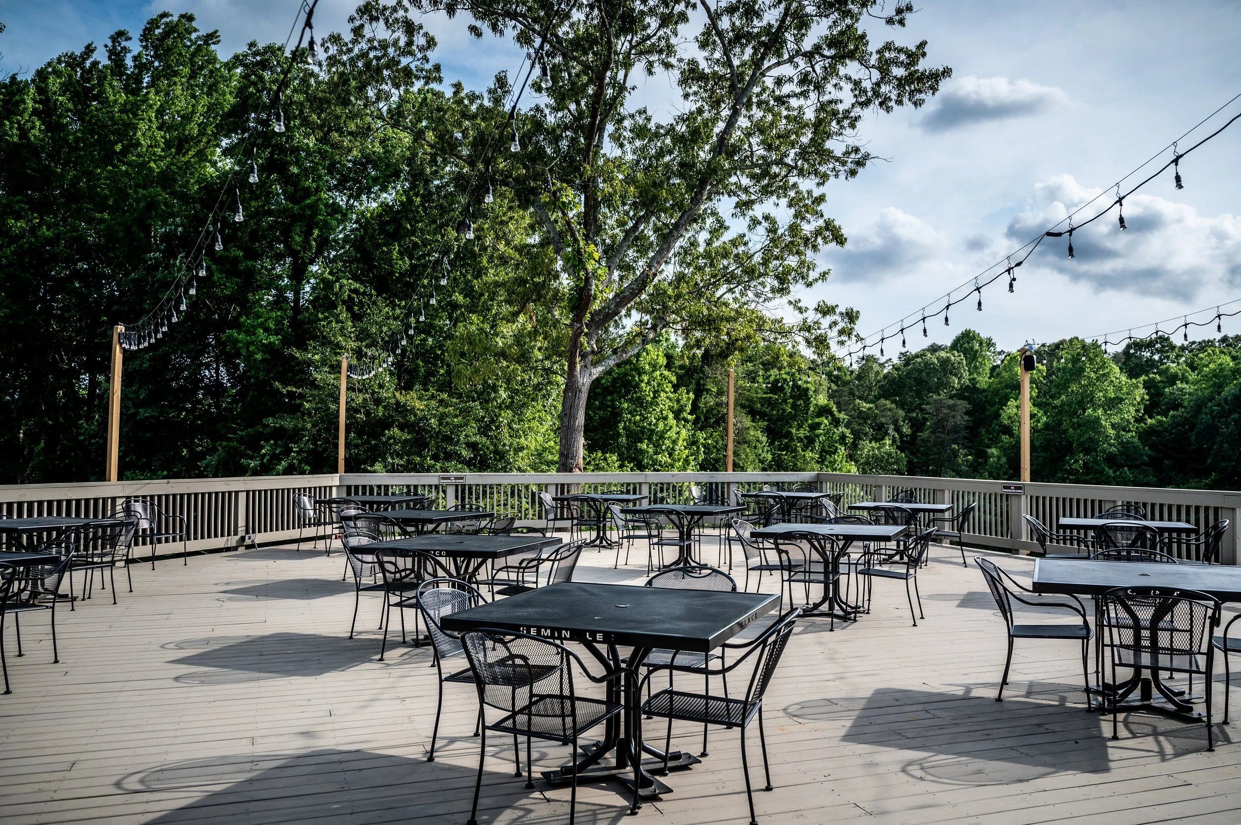 The Overlook at Chickasaw Point in Westminster, SC (3)