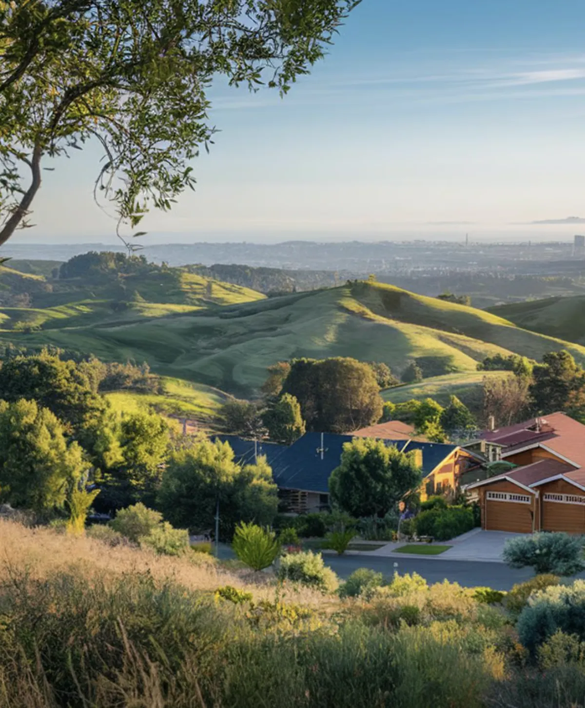 Maile Mock | Compass in Tiburon, CA (3)