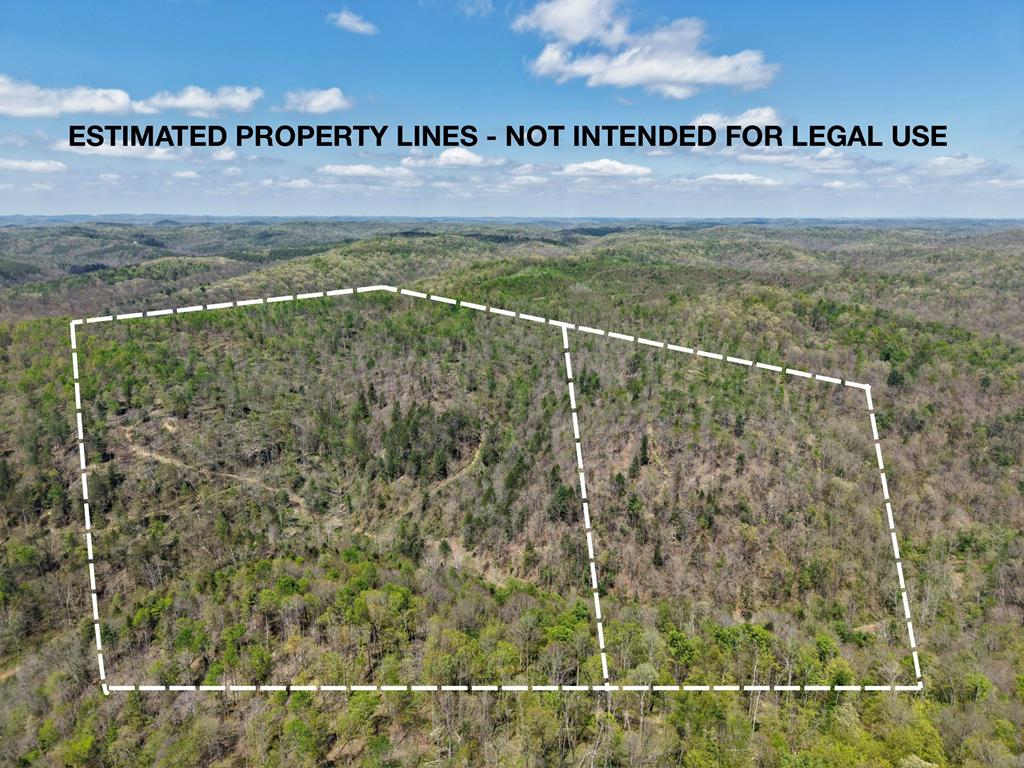 Pathway | Real Estate Professionals in New Martinsville, WV (3)