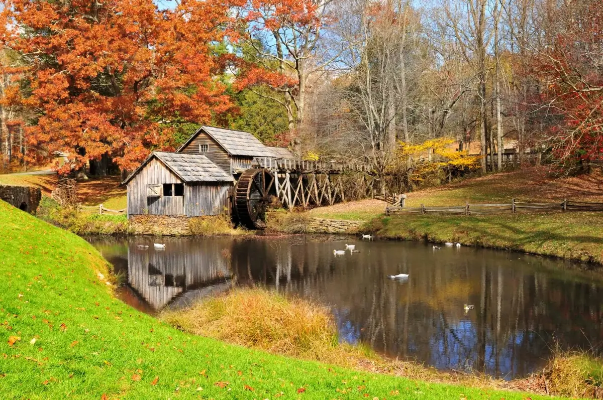 Weaverville Realty in Weaverville, NC