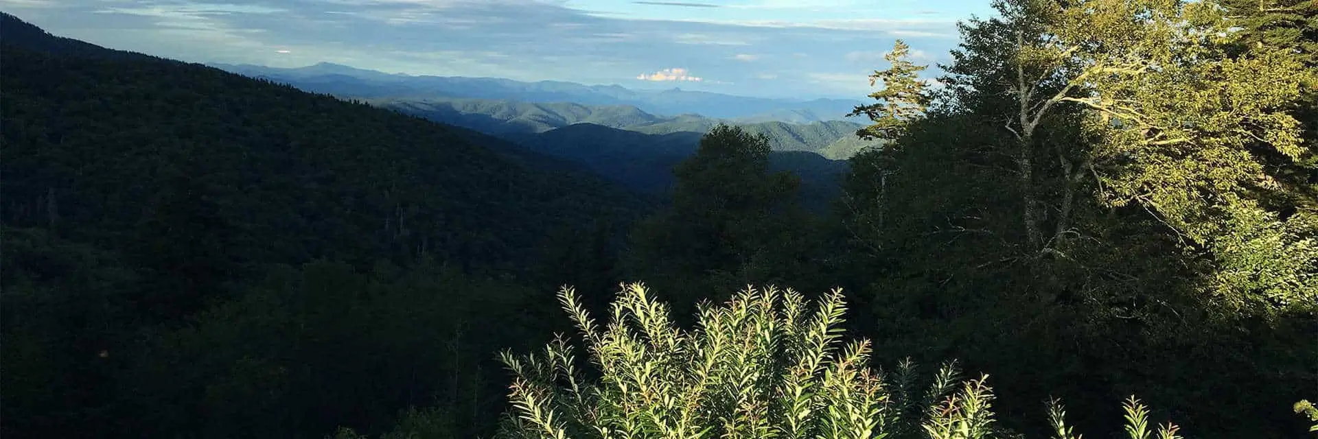 Weaverville Realty in Weaverville, NC (2)